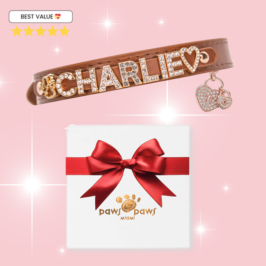 Mini Sparkle Gift Set – Collar, Heart Charm & Gift Box