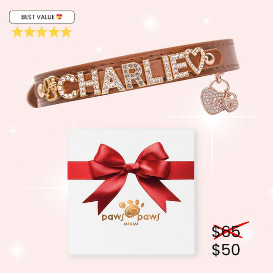 Mini Sparkle Gift Set – Collar, Heart Charm & Gift Box