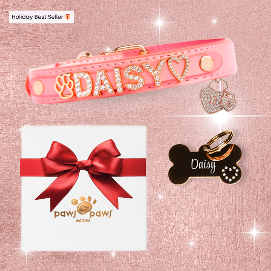 Deluxe Sparkle Gift Set – Collar, ID Tag, Pendant Charm & Gift Box