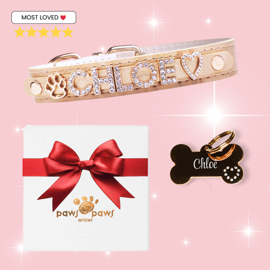 Classic Sparkle Gift Set – Collar, Engraved Tag & Gift Box