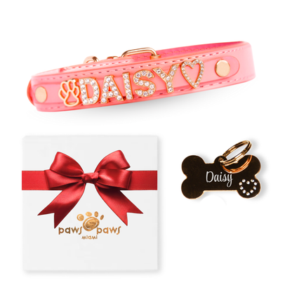 Classic Sparkle Gift Set – Collar, Engraved Tag & Gift Box