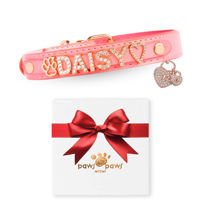 Mini Sparkle Gift Set – Collar, Heart Charm & Gift Box