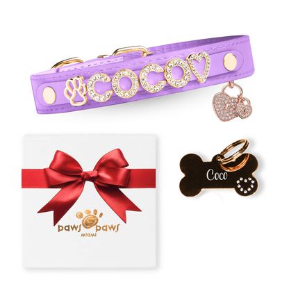 Deluxe Sparkle Gift Set – Collar, ID Tag, Pendant Charm & Gift Box