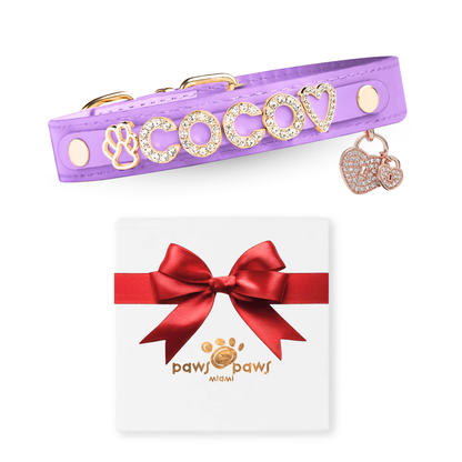 Mini Sparkle Gift Set – Collar, Heart Charm & Gift Box
