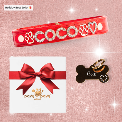 Classic Sparkle Gift Set – Collar, Engraved Tag & Gift Box