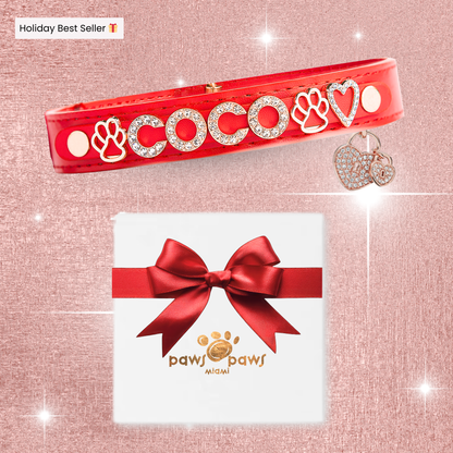 Mini Sparkle Gift Set – Collar, Heart Charm & Gift Box