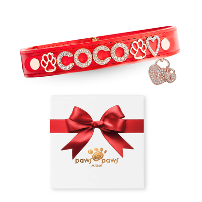 Mini Sparkle Gift Set – Collar, Heart Charm & Gift Box