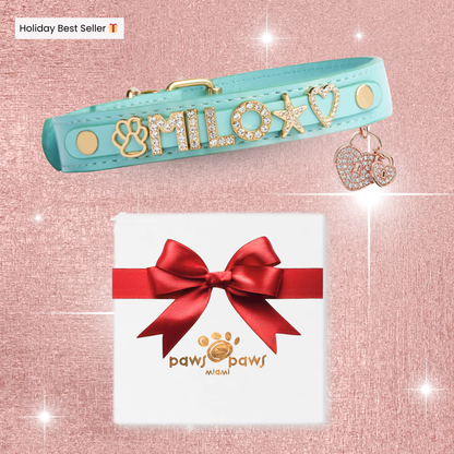 Mini Sparkle Gift Set – Collar, Heart Charm & Gift Box