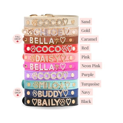 The Personalized Sparkle Collar