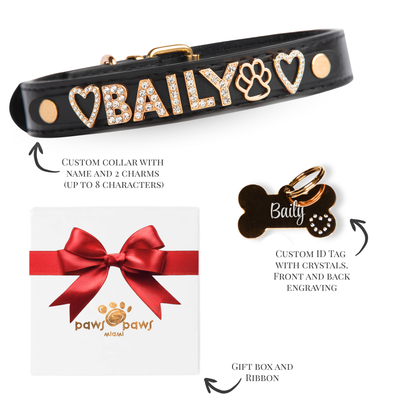 Classic Sparkle Gift Set – Collar, Engraved Tag & Gift Box