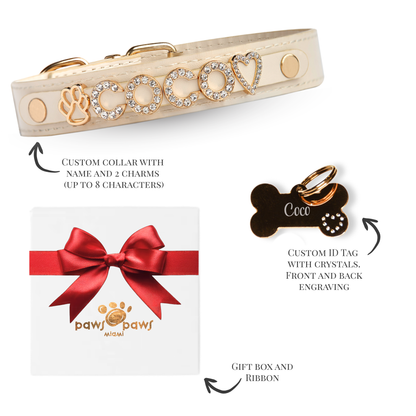 Classic Sparkle Gift Set – Collar, Engraved Tag & Gift Box