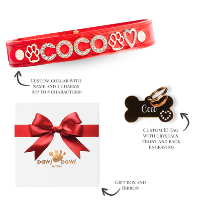 Classic Sparkle Gift Set – Collar, Engraved Tag & Gift Box