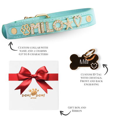 Classic Sparkle Gift Set – Collar, Engraved Tag & Gift Box