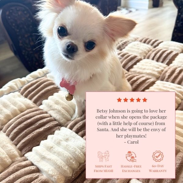 The Personalized Sparkle Collar