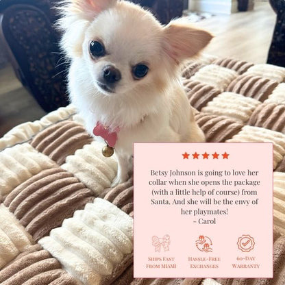 The Personalized Sparkle Collar