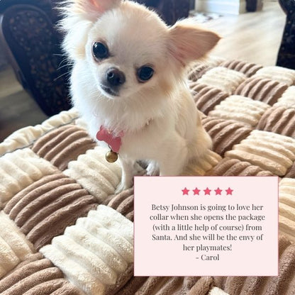 The Personalized Sparkle Collar