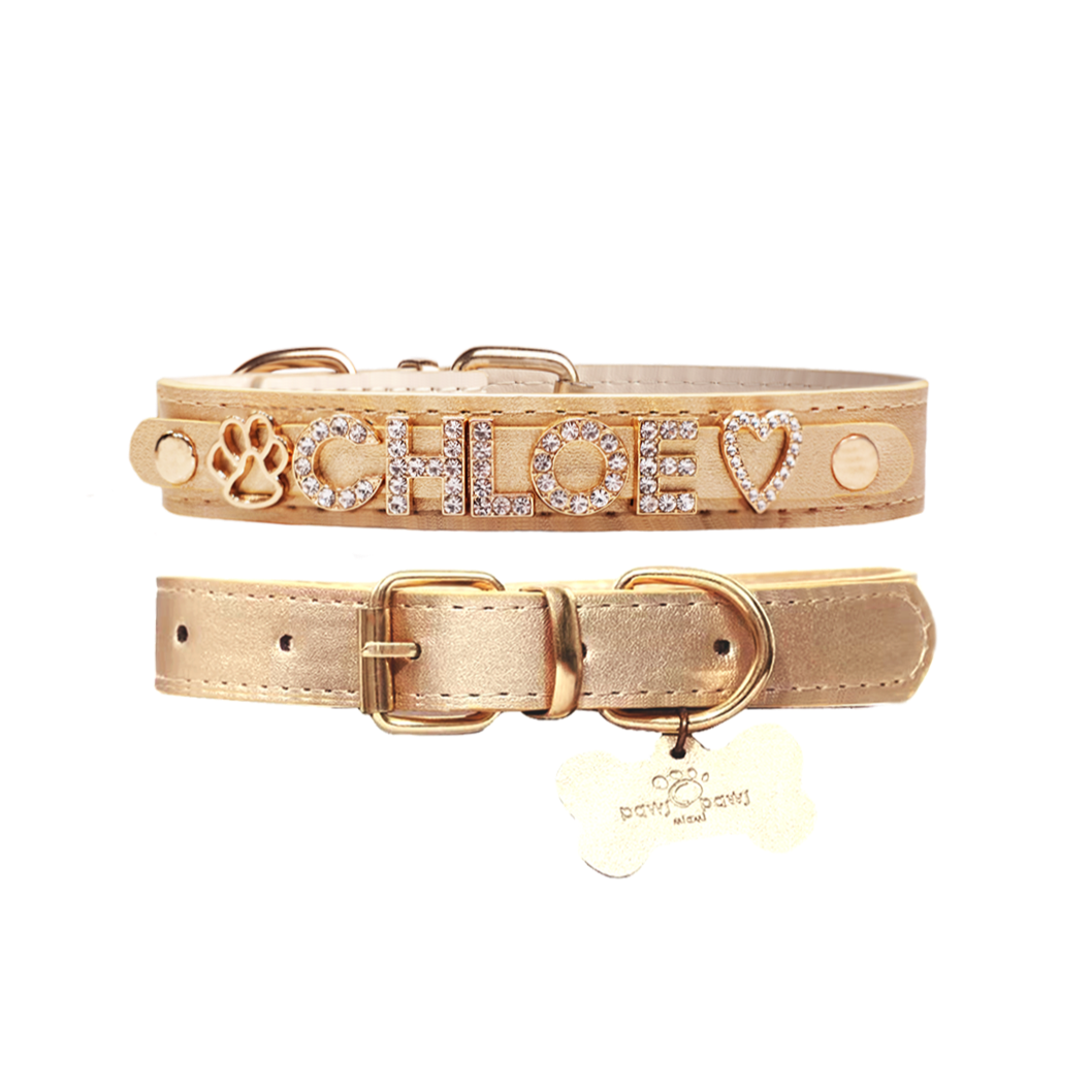 Paws Paws Miami Custom Collar for Girl Dogs Gold